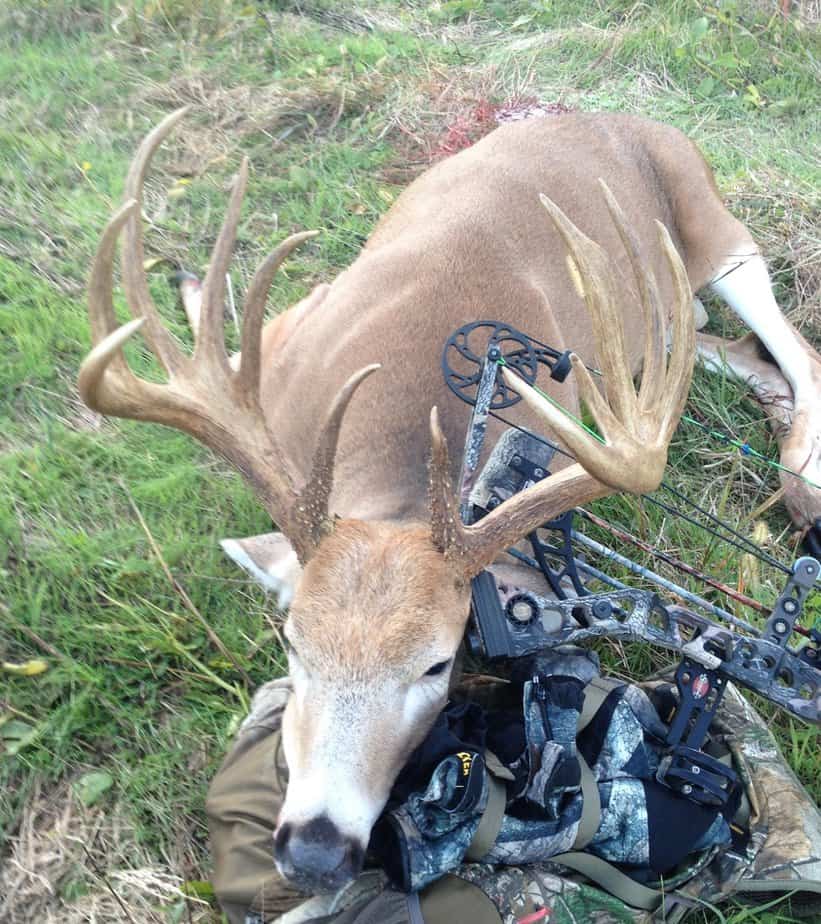 BREAKING 200 Maryland Bow Buck Big Deer BREAKING 200 Maryland Bow Buck Big Deer